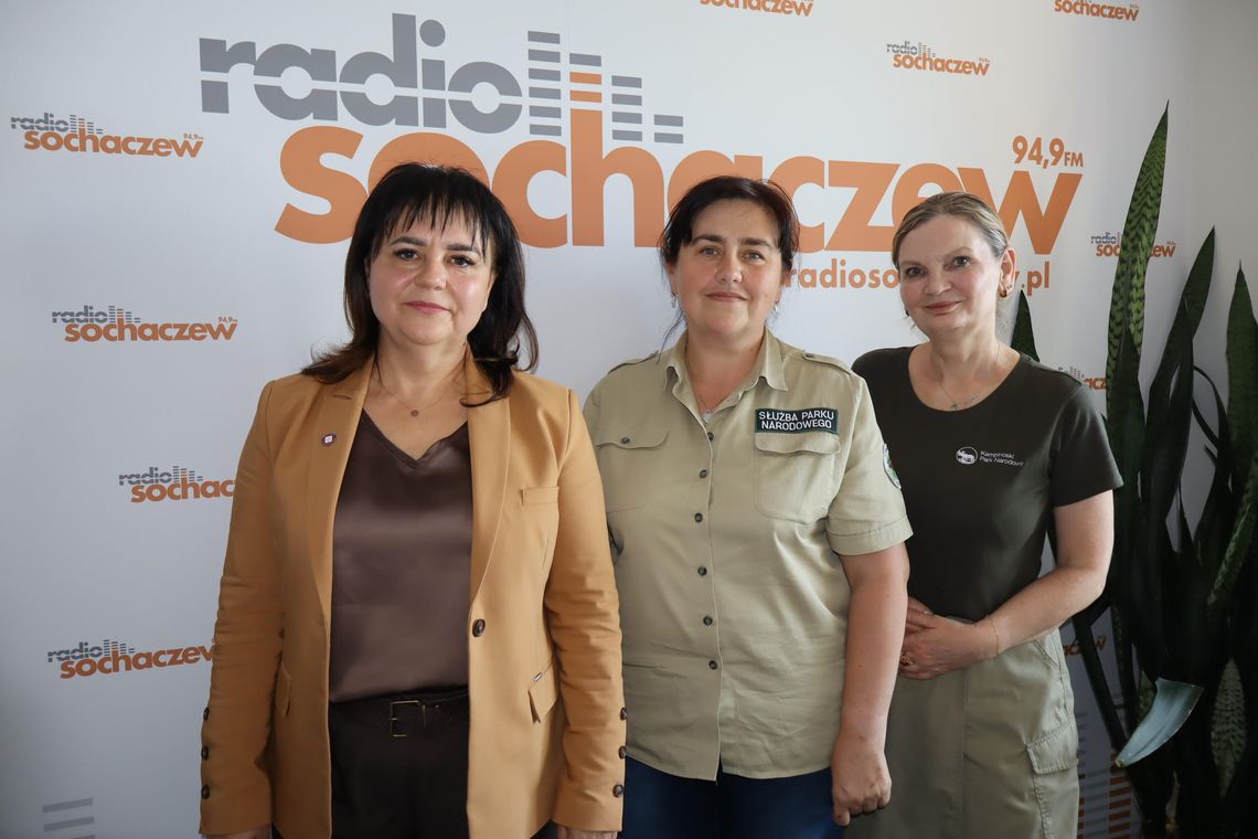 Grzybowy projekt PSSE Sochaczew i KPN, będzie wystawa i nie tylko Grzybowy projekt PSSE Sochaczew i KPN, będzie wystawa i nie tylko