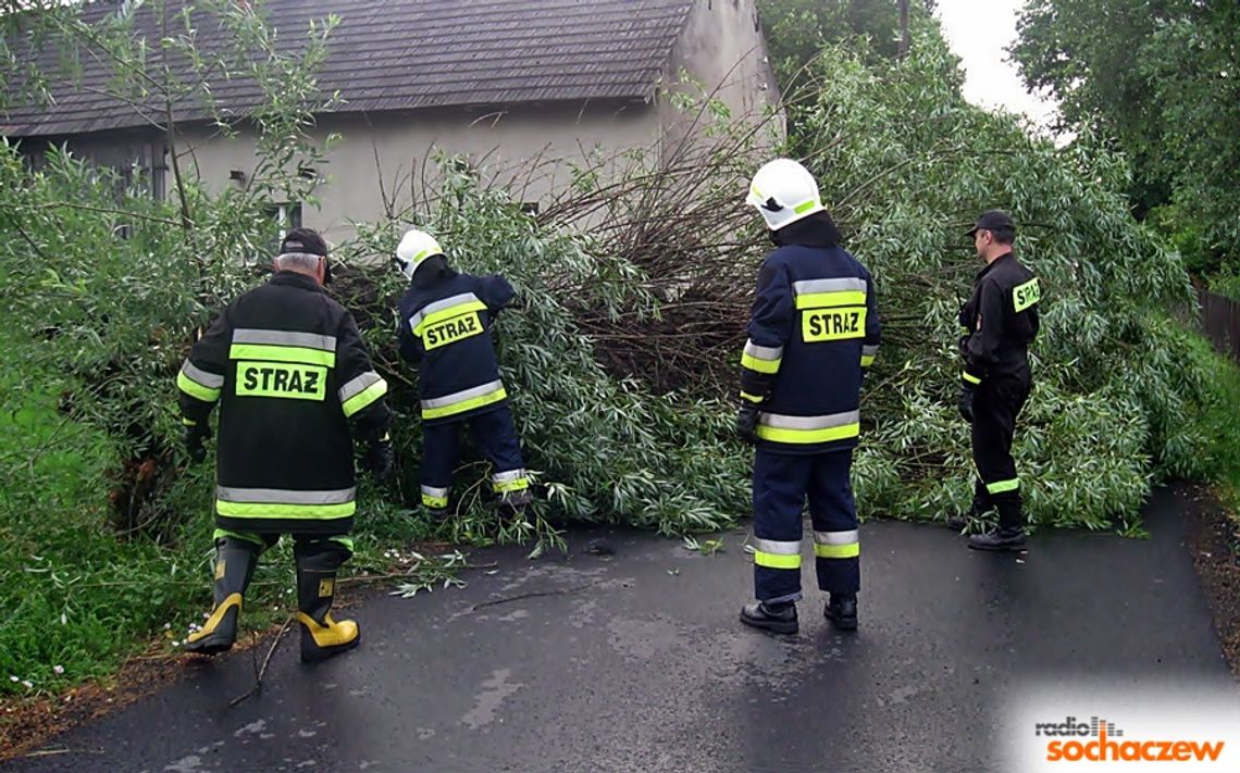 Gwałtowna burza poprzewracała drzewa Gwałtowna burza poprzewracała drzewa