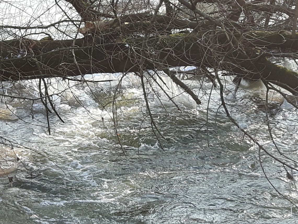 Interesujące zjawisko na Pisi