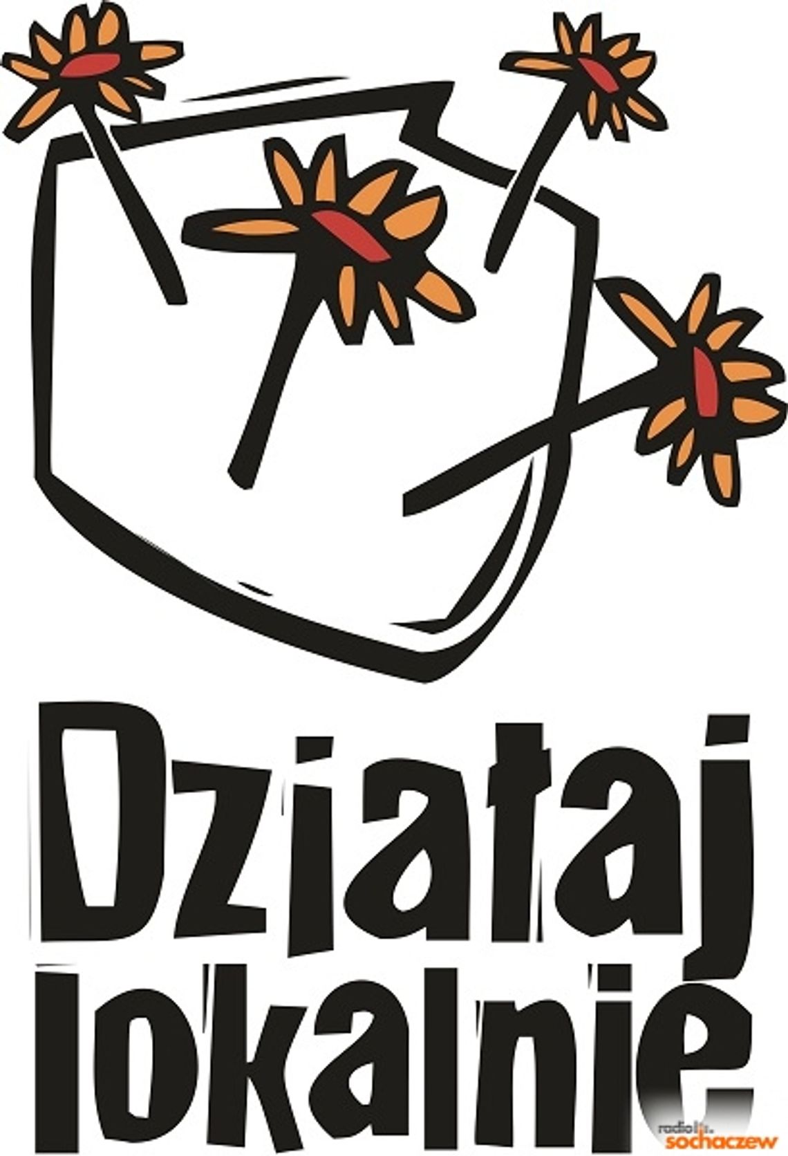 Konkurs grantowy w ramach ogólnopolskiego programu Działaj Lokalnie