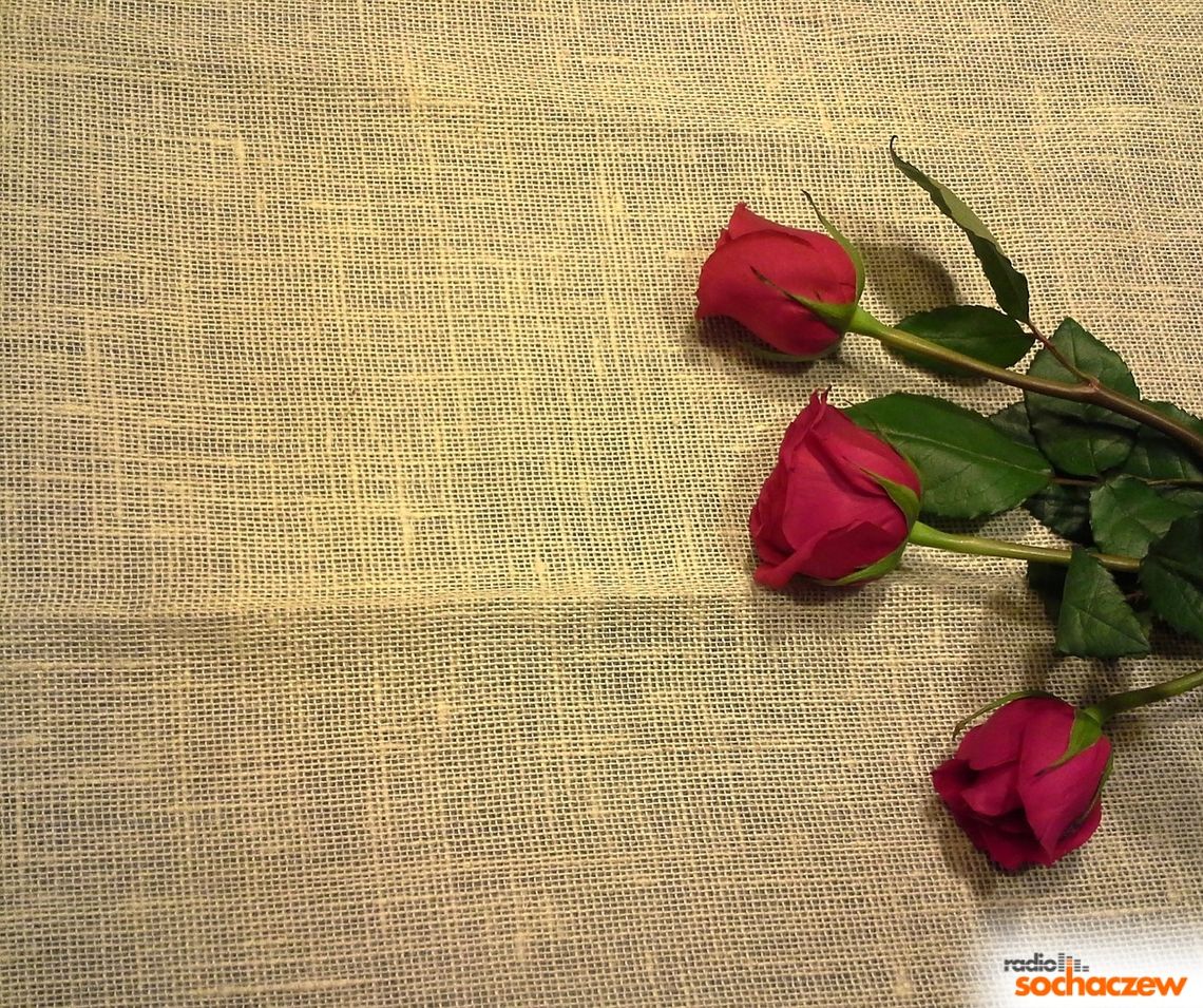 Kwiaty, czekoladki, miłe słowa – czyli dzień kobiet! Kwiaty, czekoladki, miłe słowa – czyli dzień kobiet!