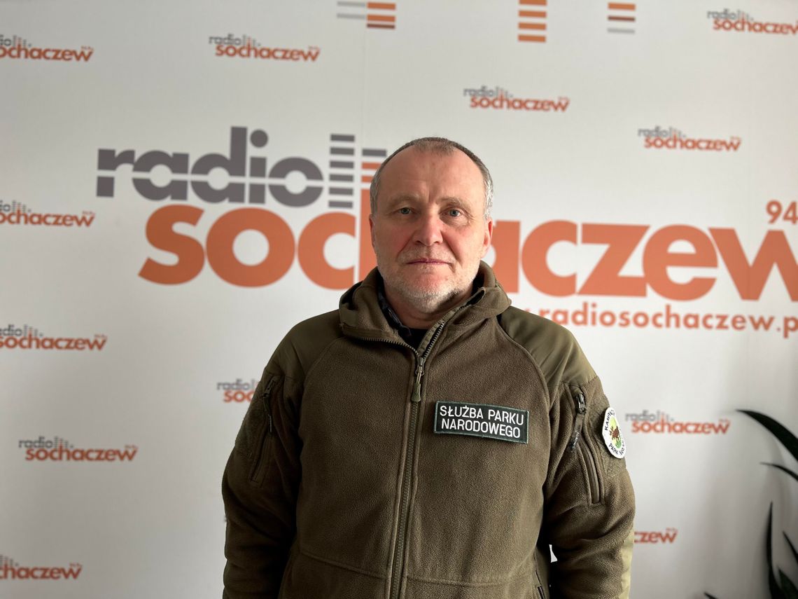 Maciej Szajowski 18.02.2026