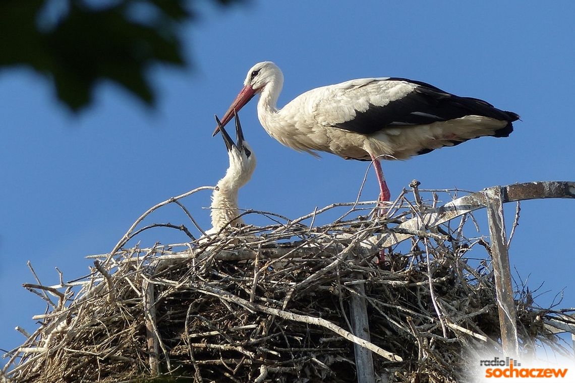 "Mazowsze. Weekend dwa kroki stąd" - otwarcie sezonu turystycznego "Mazowsze. Weekend dwa kroki stąd" - otwarcie sezonu turystycznego