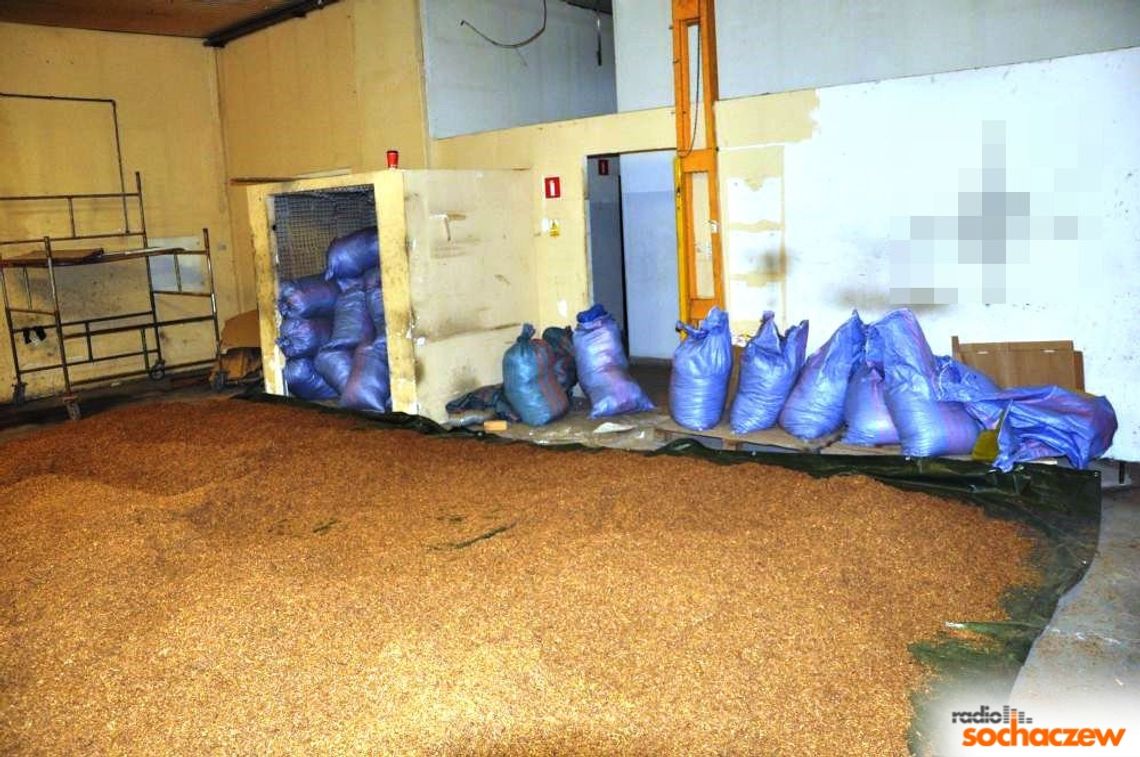 Nielegalna fabryka papierosów w Teresinie