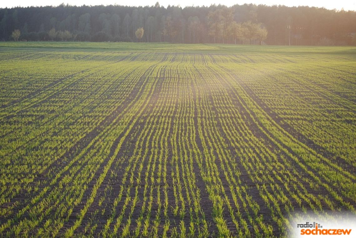 O trudnościach w gminie Iłów O trudnościach w gminie Iłów