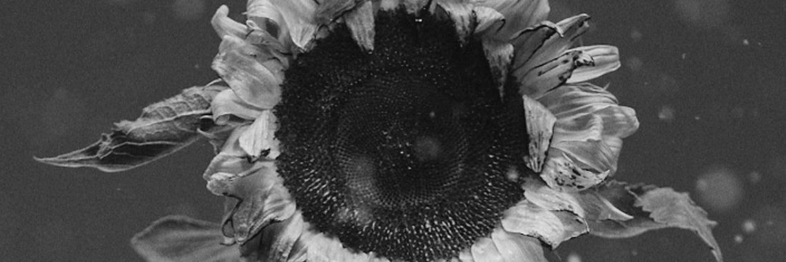 "Ostatni dzień lata" Ralpha Kaminskiego "Ostatni dzień lata" Ralpha Kaminskiego