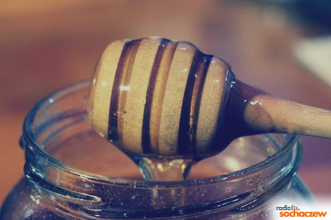 Powiat Sochaczewski: Konkurs kulinarny Miodowe Przysmaki Powiat Sochaczewski: Konkurs kulinarny Miodowe Przysmaki