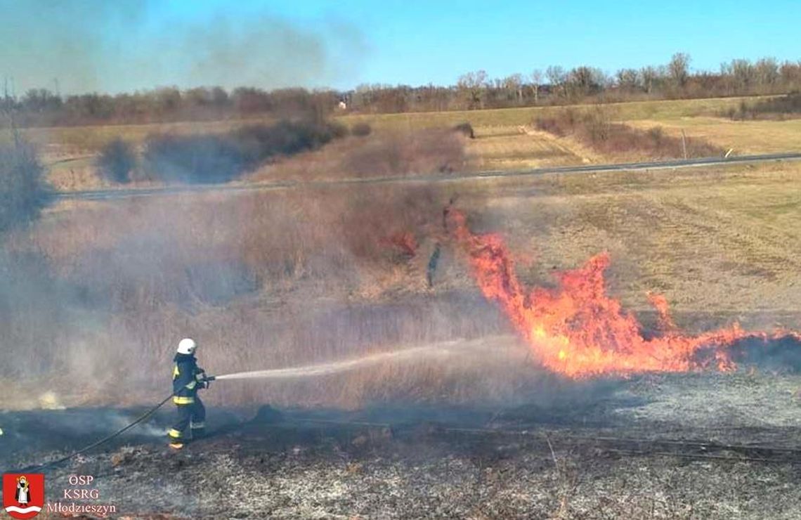 Pożar traw w Kamionie: spłonęły dwa hektary łąk