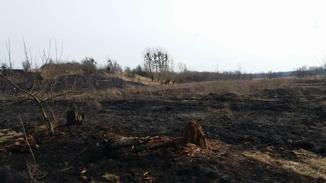 Pożar w Plecewicach: zdjęcia czytelnika