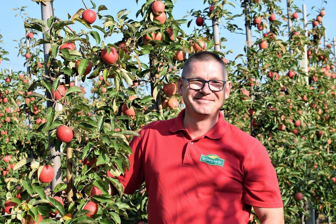Przemysław Wasilewski o tegorocznych zbiorach jabłek