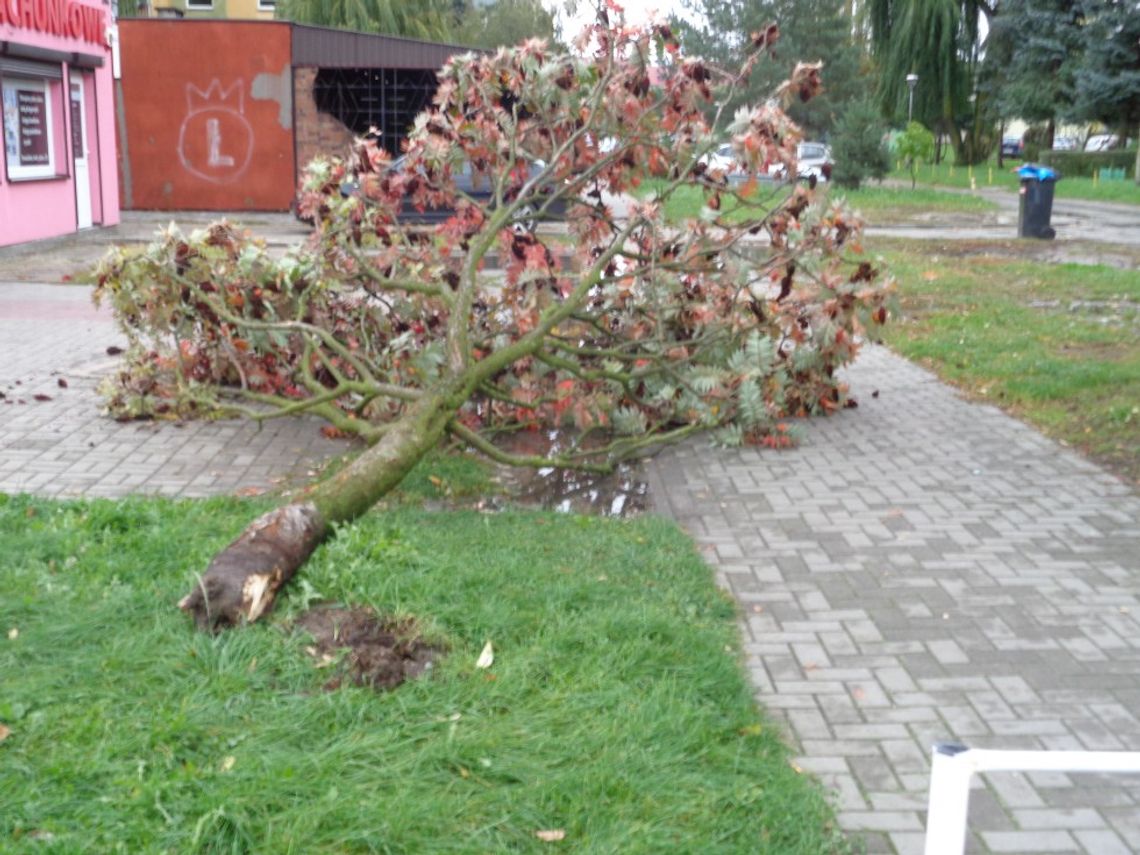 Silny wiatr spowodował wiele zniszczeń 