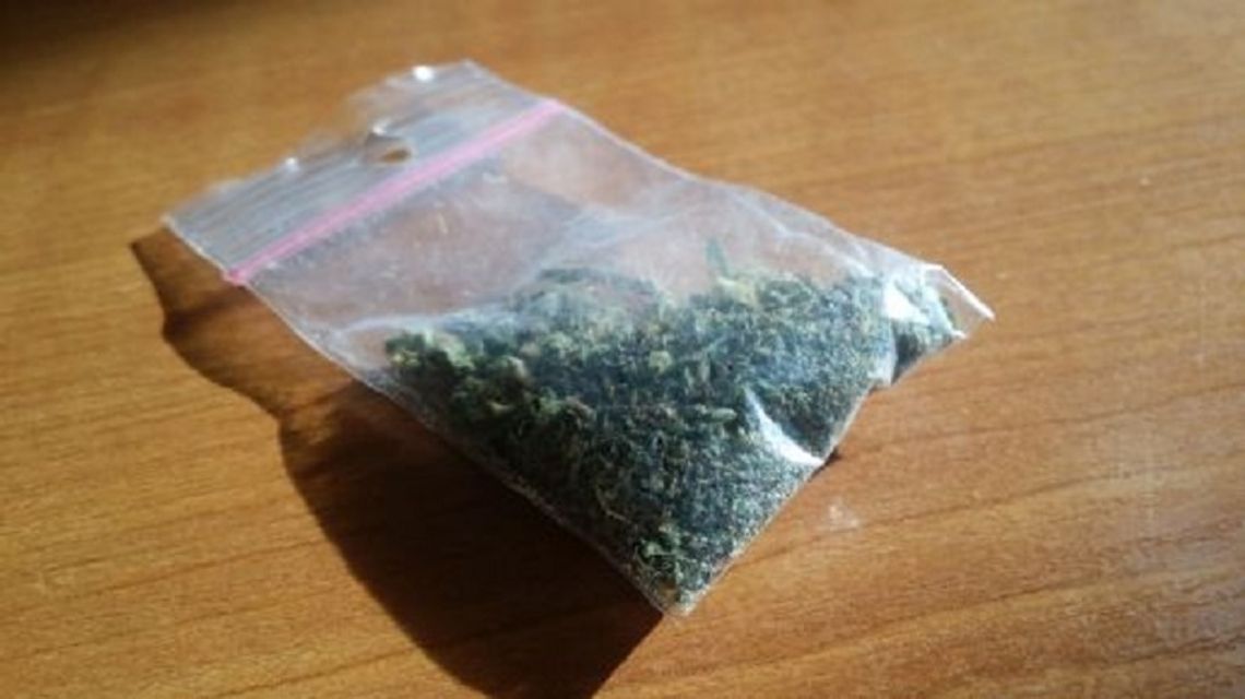 Sochaczewscy policjanci zatrzymali trzy osoby, przy których znaleziono środki odurzające