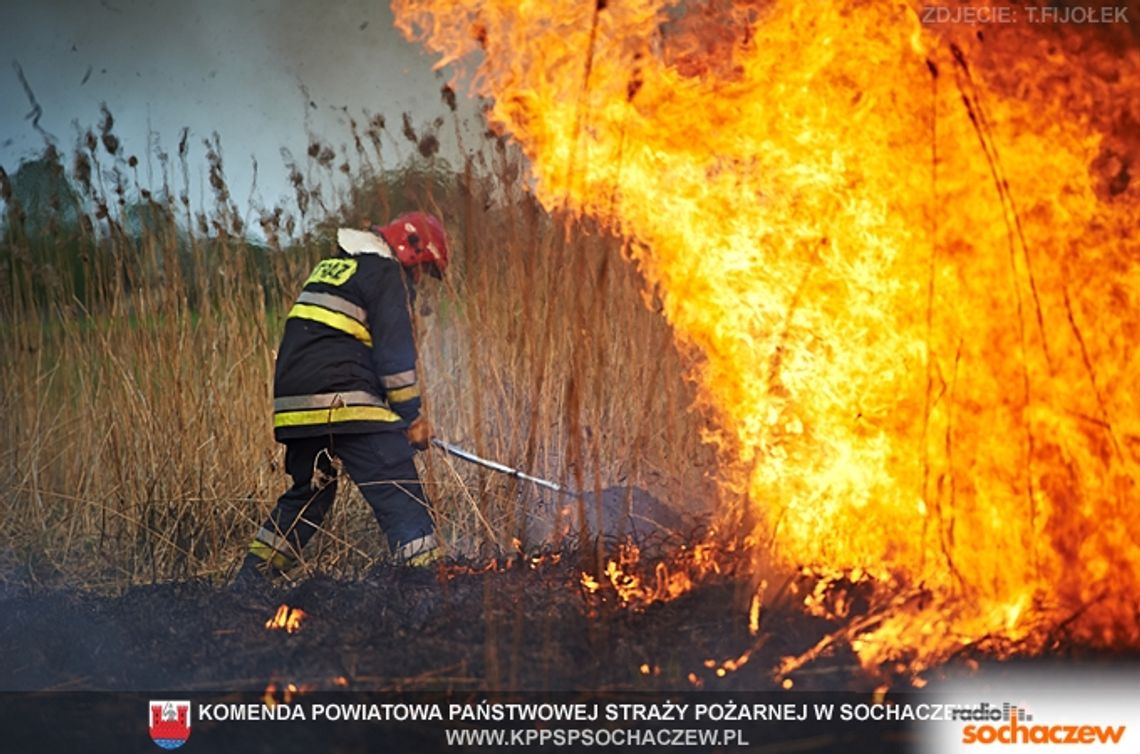 Susza, pożary i wysokie zagrożenie pożarowe