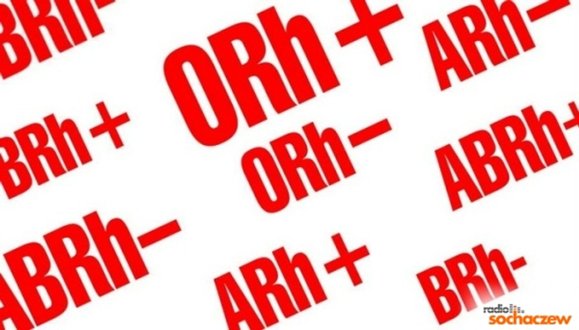 światowy dzień krwiodawstwa - to już dziś światowy dzień krwiodawstwa - to już dziś