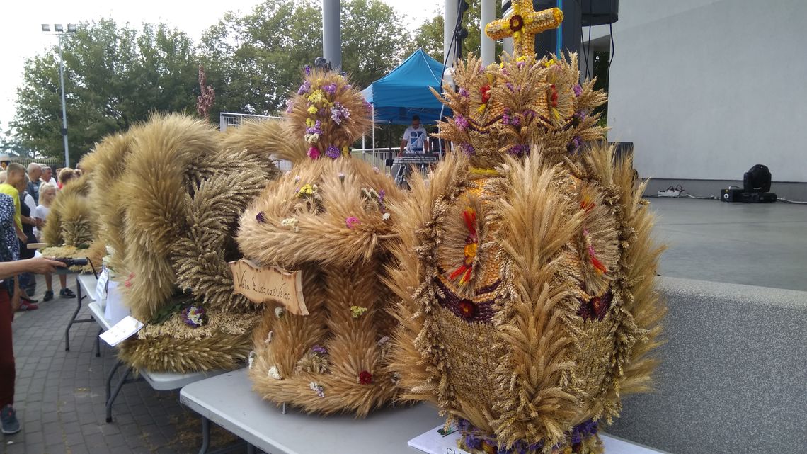 Święto Plonów Błonie 2017