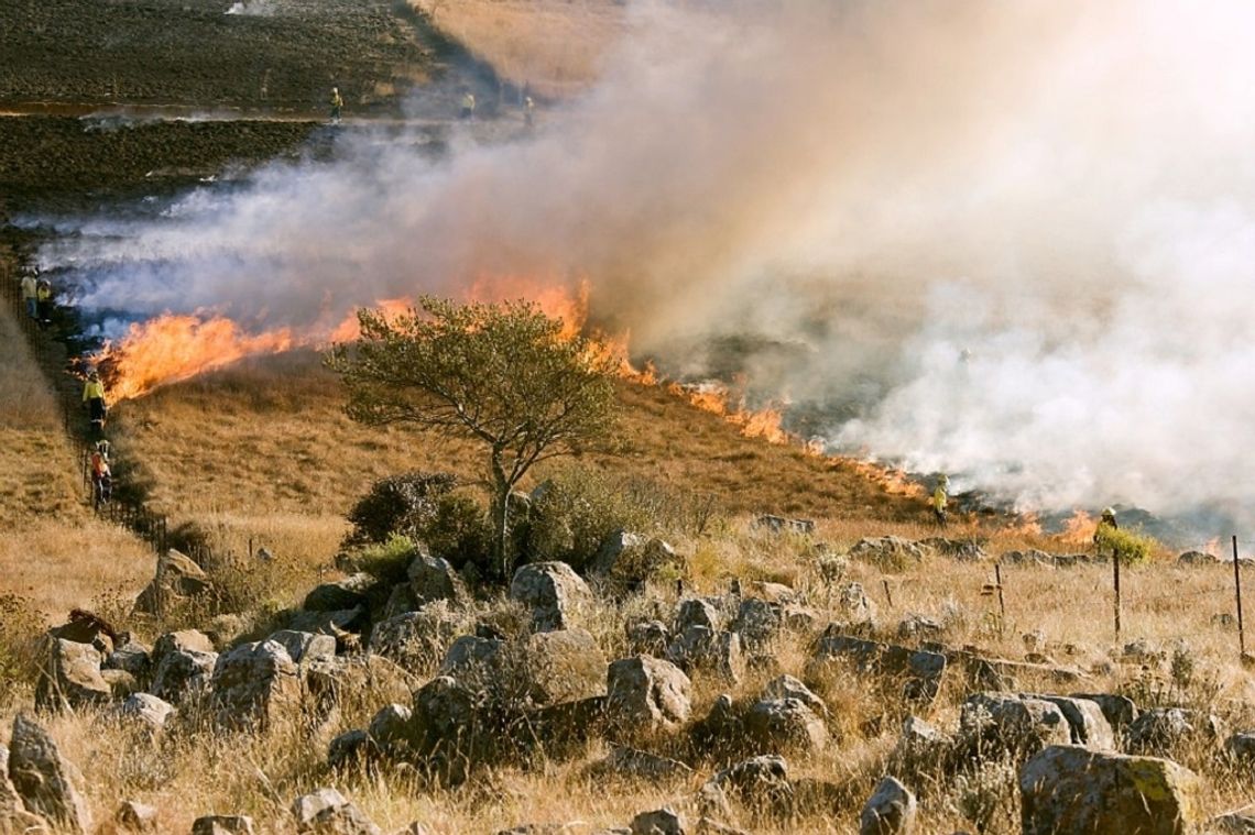 TO MASZ w sobotę: Wypalenie trawy źle wpływa na ziemię