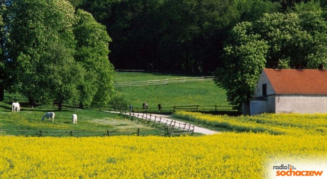 W Brochowie rozmawiano o Leaderze W Brochowie rozmawiano o Leaderze