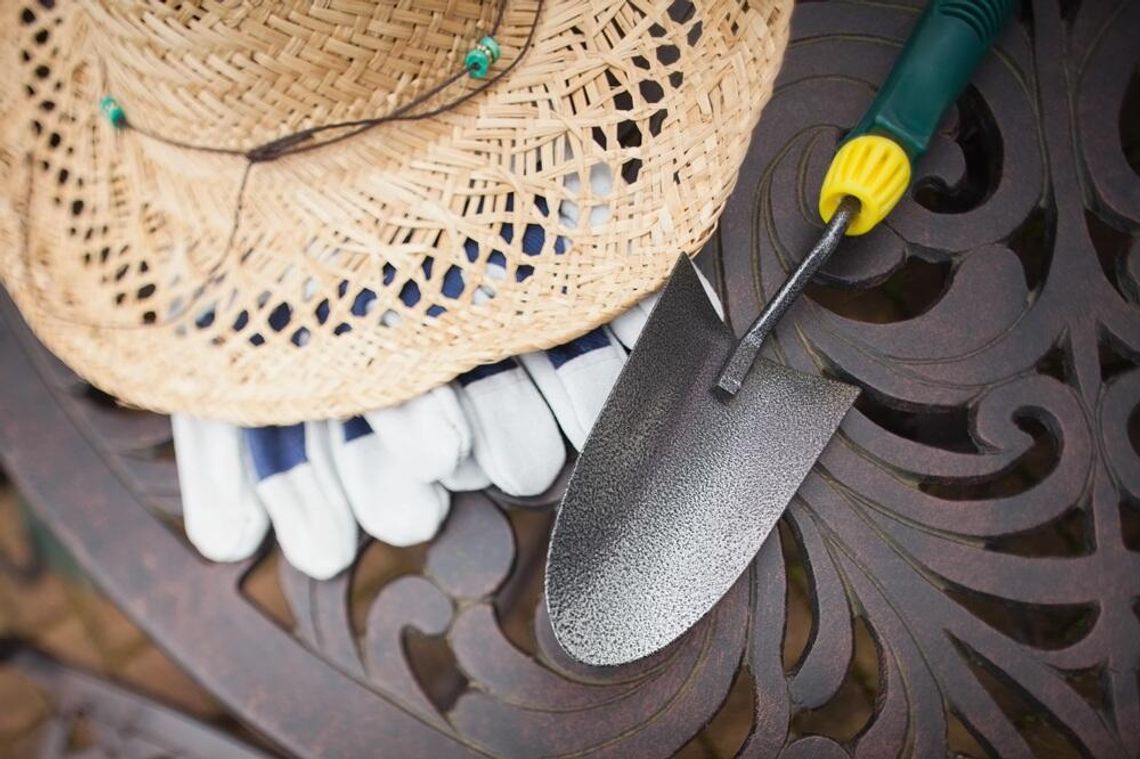 Z pasji do zieleni – jak ogrodnictwo wpływa na zdrowie i samopoczucie Z pasji do zieleni – jak ogrodnictwo wpływa na zdrowie i samopoczucie