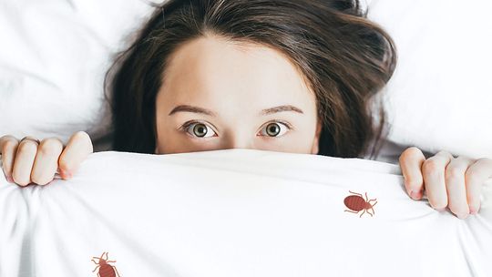 DDDD Inżynieria Sanitarna DDDD Inżynieria Sanitarna