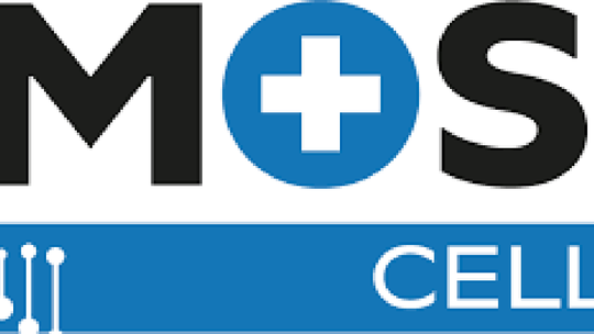 Emost Warszawa - terapia autyzmu | terapia komórkowa Emost Warszawa - terapia autyzmu | terapia komórkowa