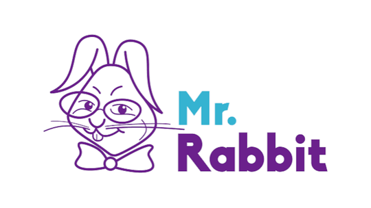 MR. RABBIT filia CENTRUM - CHEŁMIŃSKIE. Język angielski dla dzieci i młodzieży Toruń