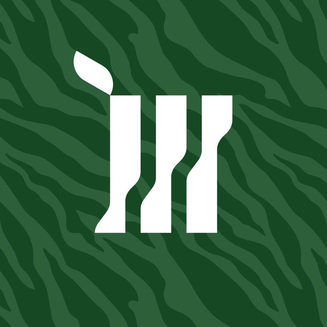 Hurtownia florystyczna - pm-m.pl Hurtownia florystyczna - pm-m.pl