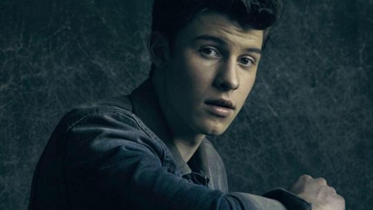 10. Shawn Mendes – Treat You Better 
